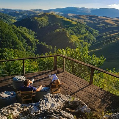 If You Go Down to the Woods Today - Romania’s Brown Bears - The Wise Traveller