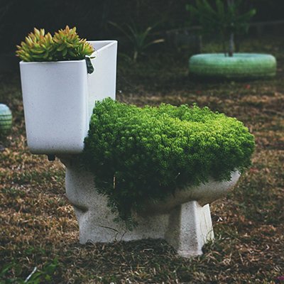 Travel Toilet Talk - The Wise Traveller