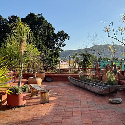 True Local Flavor - Hotel Ayook Oaxaca - The Wise Travellers